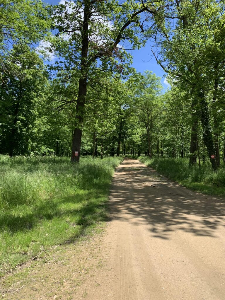 Air de rien - Cleppé - 42 - Séminaires et Mariages